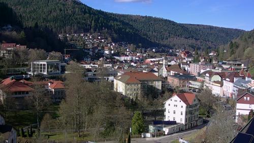 Webcam Bad Wildbad