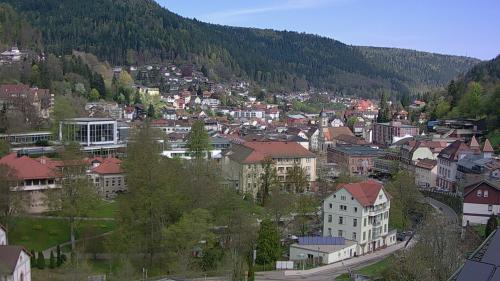 Webcam Bad Wildbad