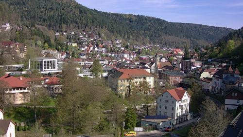 Webcam Bad Wildbad