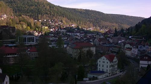 Webcam Bad Wildbad