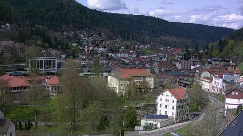Webcam Bad Wildbad
