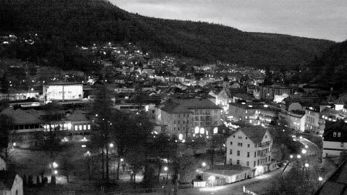 Webcam Bad Wildbad