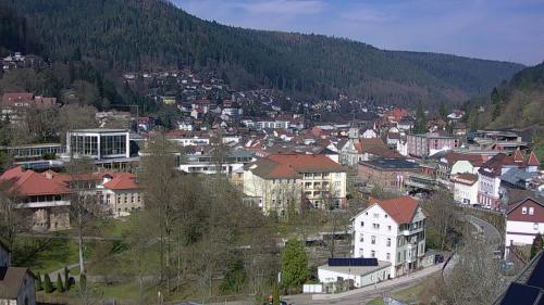 Webcam Bad Wildbad