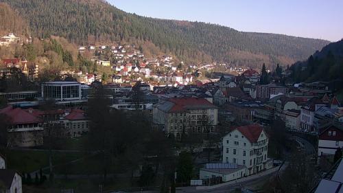 Webcam Bad Wildbad