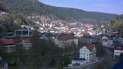 Webcam Bad Wildbad