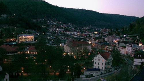 Webcam Bad Wildbad