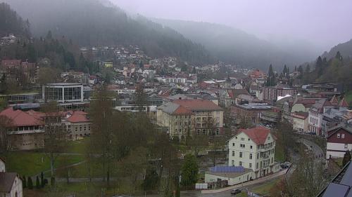Webcam Bad Wildbad