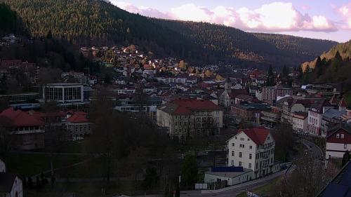 Webcam Bad Wildbad