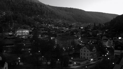 Webcam Bad Wildbad