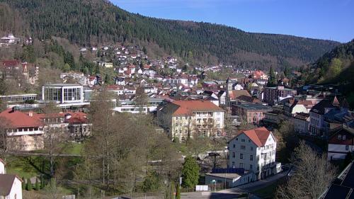 Webcam Bad Wildbad