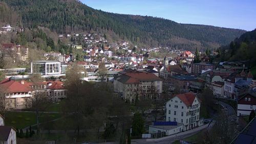 Webcam Bad Wildbad