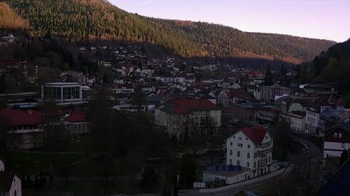 Webcam Bad Wildbad