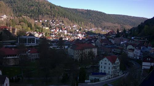 Webcam Bad Wildbad