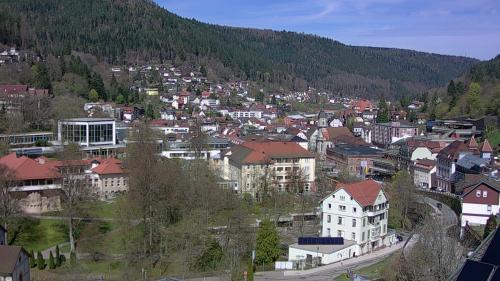Webcam Bad Wildbad