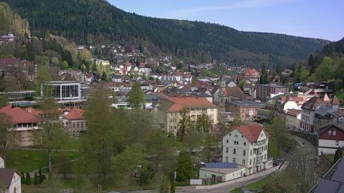 Webcam Bad Wildbad