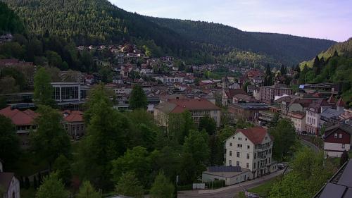 Webcam Bad Wildbad