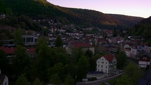 Webcam Bad Wildbad