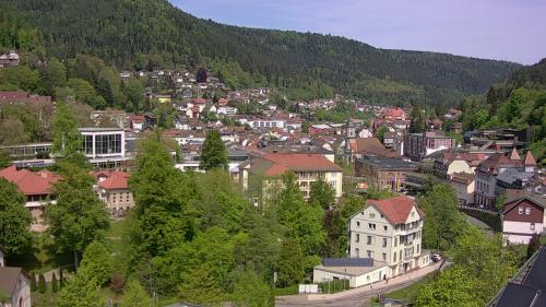 Webcam Bad Wildbad