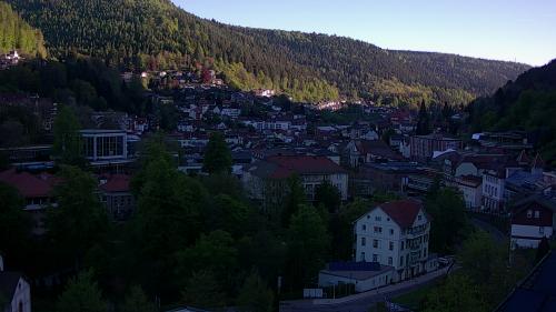 Webcam Bad Wildbad