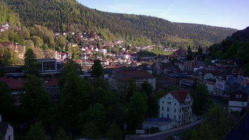 Webcam Bad Wildbad