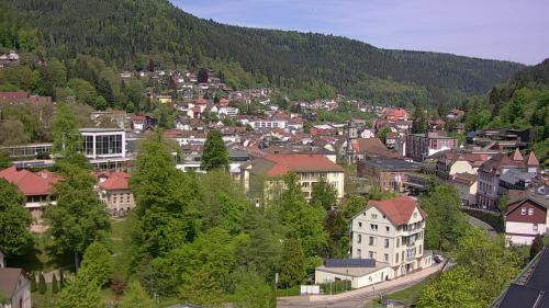 Webcam Bad Wildbad