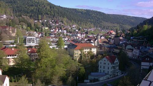 Webcam Bad Wildbad