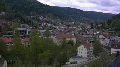 Webcam Bad Wildbad