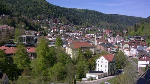 Webcam Bad Wildbad