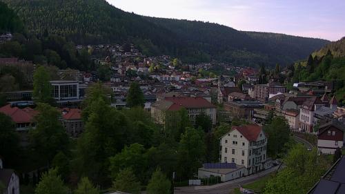 Webcam Bad Wildbad