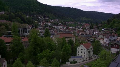 Webcam Bad Wildbad