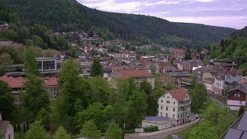 Webcam Bad Wildbad