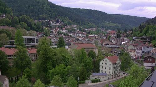 Webcam Bad Wildbad