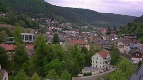 Webcam Bad Wildbad