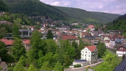 Webcam Bad Wildbad