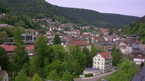 Webcam Bad Wildbad