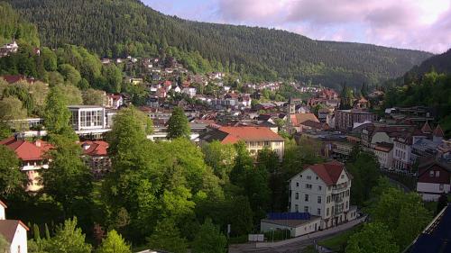 Webcam Bad Wildbad