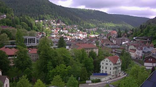 Webcam Bad Wildbad