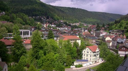 Webcam Bad Wildbad