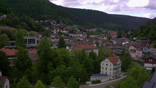 Webcam Bad Wildbad