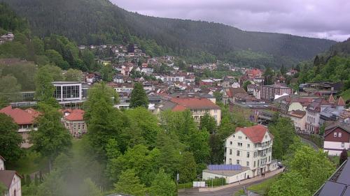 Webcam Bad Wildbad