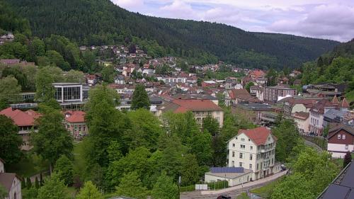 Webcam Bad Wildbad