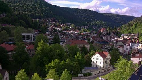 Webcam Bad Wildbad