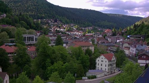Webcam Bad Wildbad
