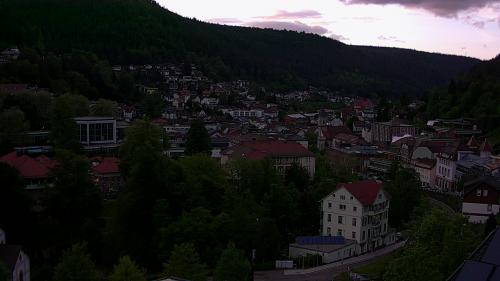 Webcam Bad Wildbad