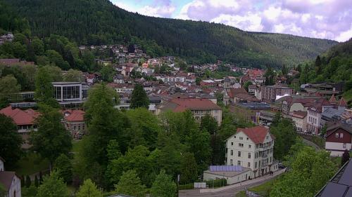 Webcam Bad Wildbad