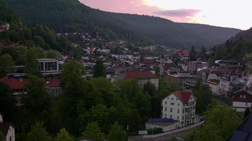 Webcam Bad Wildbad