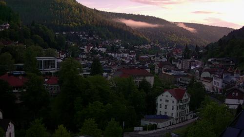 Webcam Bad Wildbad