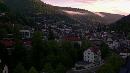 Webcam Bad Wildbad