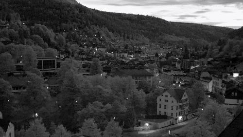 Webcam Bad Wildbad