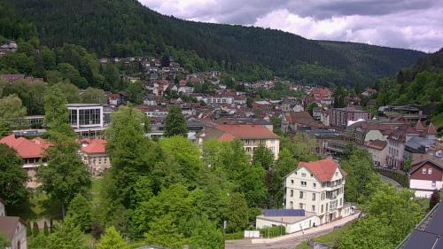 Webcam Bad Wildbad